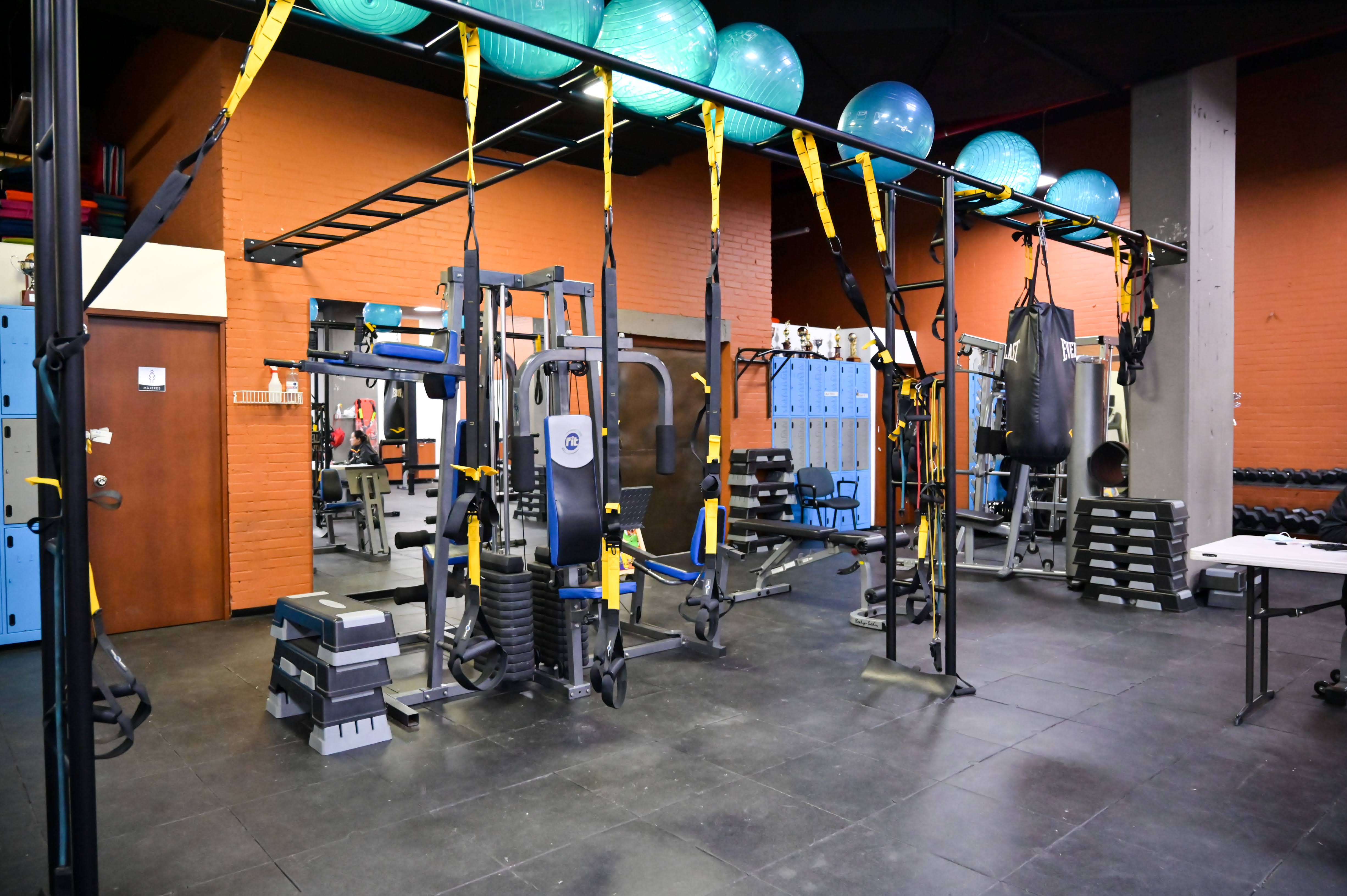 gimnasio trx