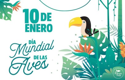 Conoce el calendario de actividades ambientales de ENERO 2023