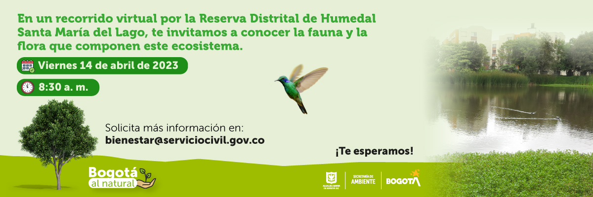 Conéctate y participa en la acción pedagógica “huella ecológica”