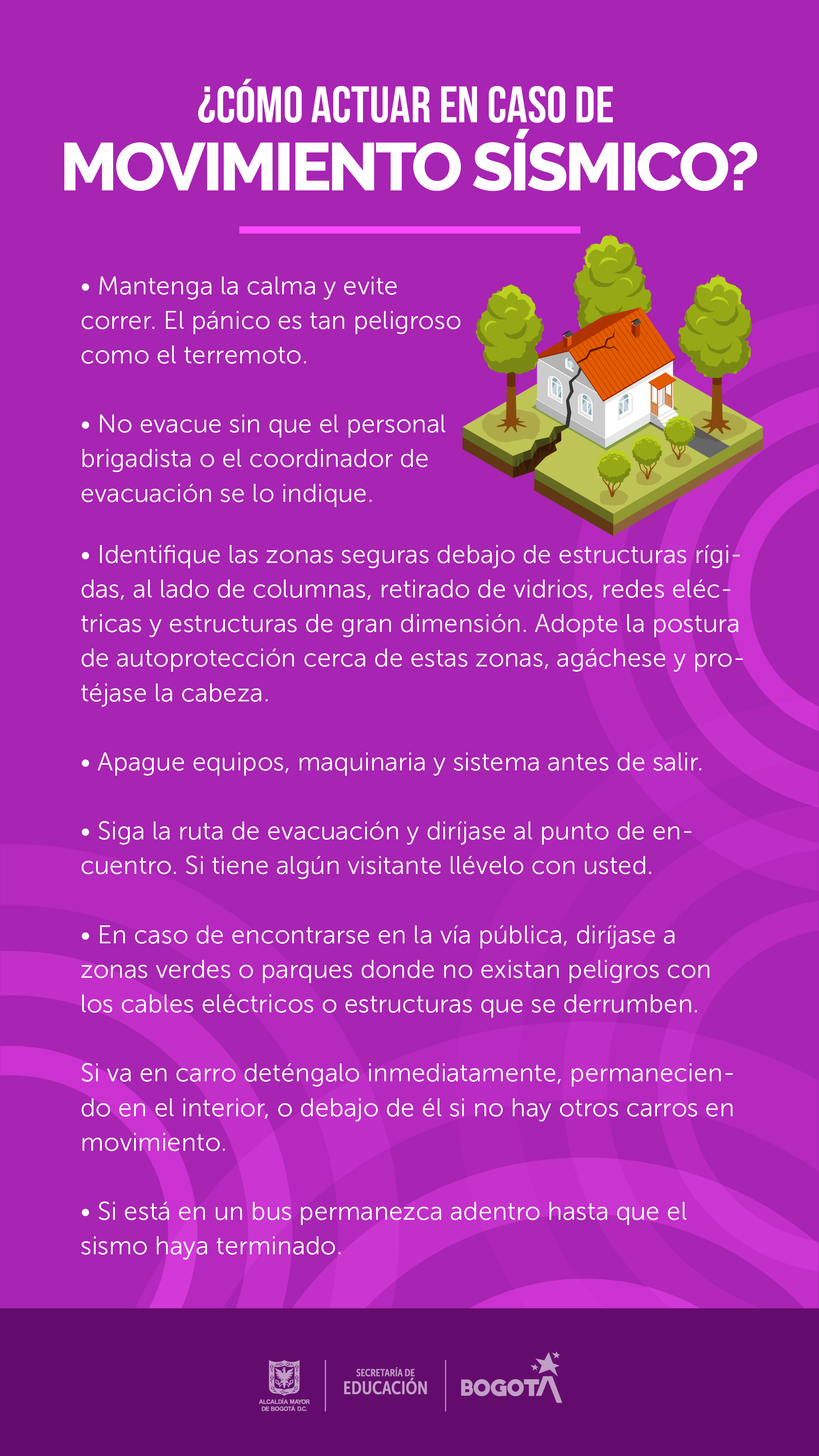 recomendaciones en caso de mov sismico