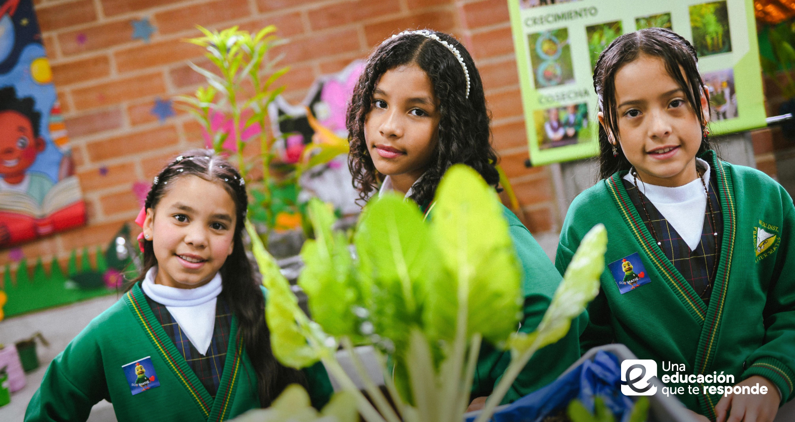 Estudiante de colegio Distrital