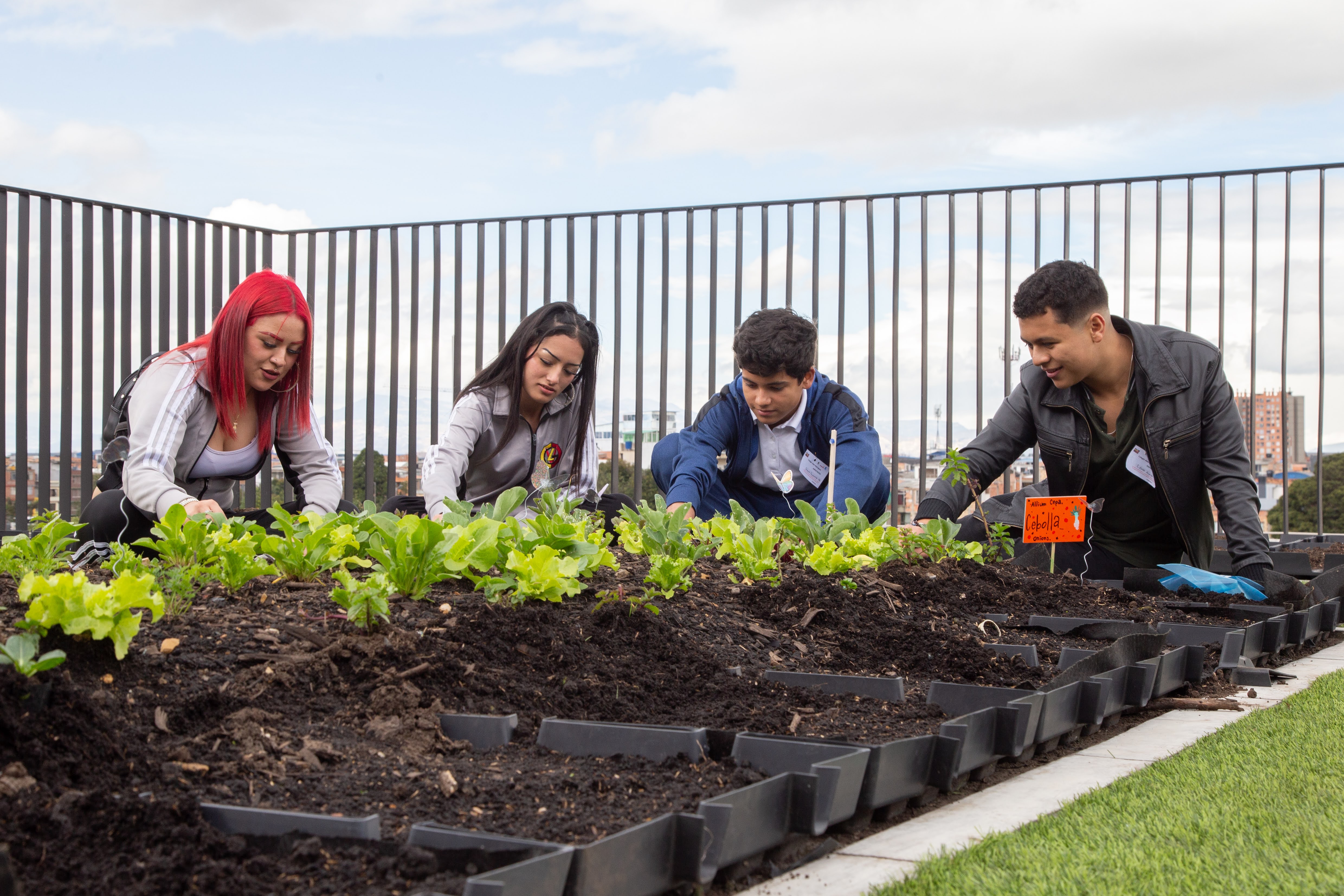 Más de 3.000 estudiantes de colegios oficiales se han beneficiado con el programa de Huertas Escolares de la Secretaría de Educación del Distrito