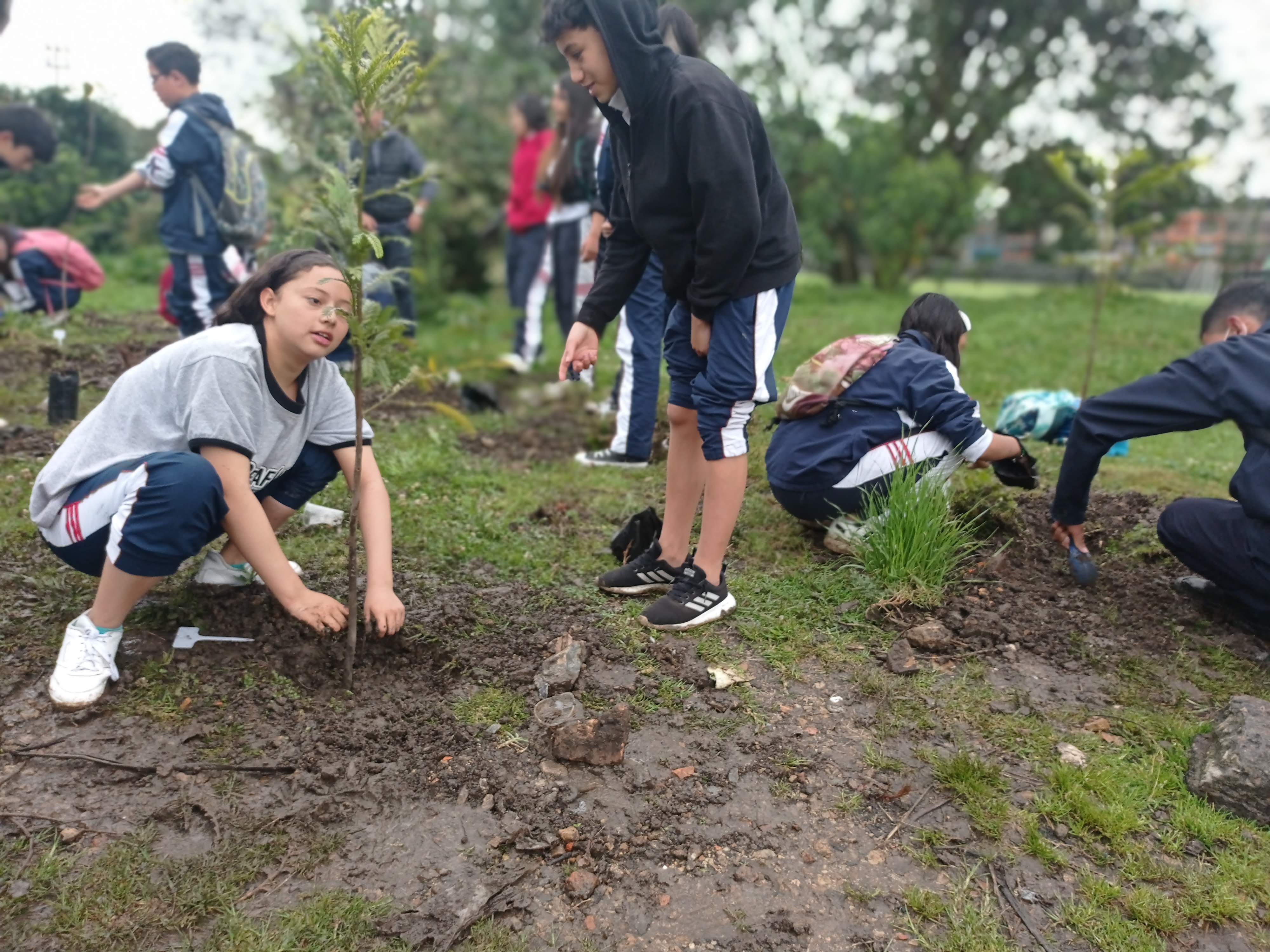 Colegios República Dominicana y La Gaitana trabajan en red para construir ‘Rutas ECO Protectoras’