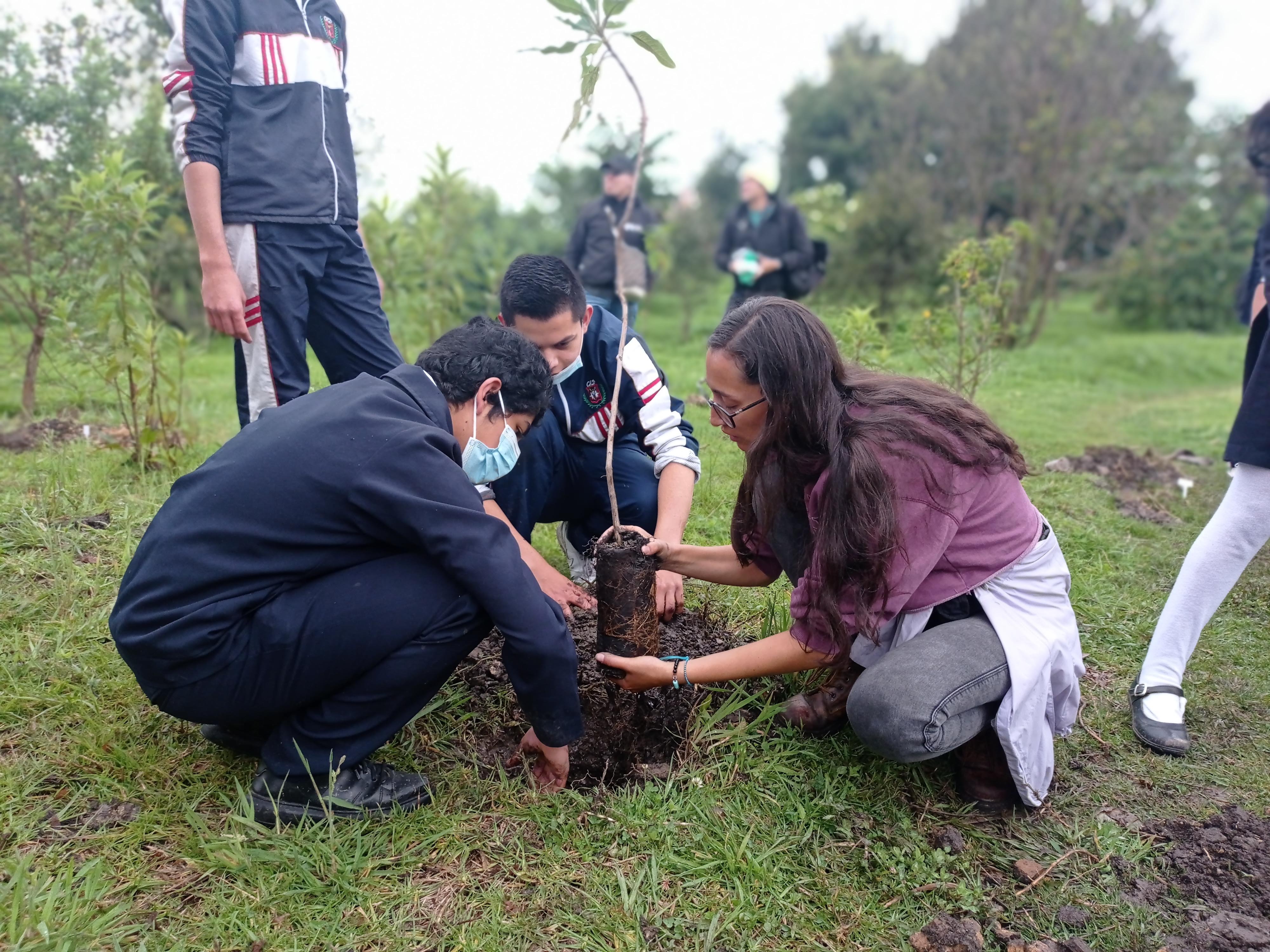 Colegios República Dominicana y La Gaitana trabajan en red para construir ‘Rutas ECO Protectoras’