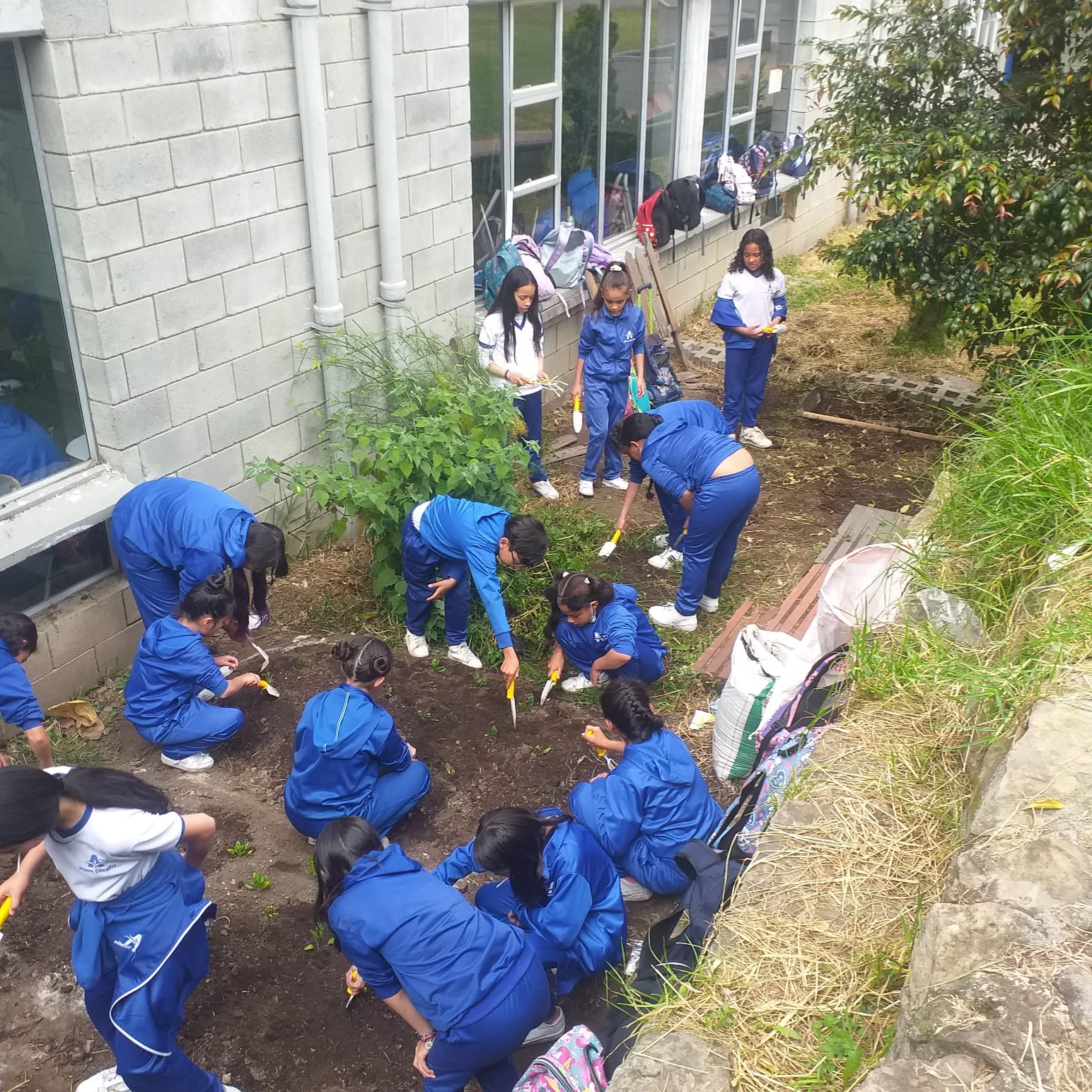 Estudiantes haciendo labores ecologicas de sembrado