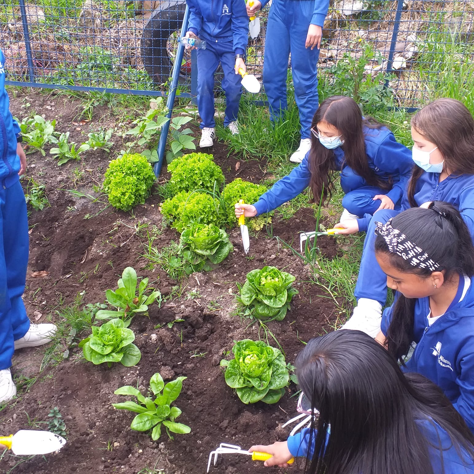 Estudiantes haciendo labores ecologicas de sembrado