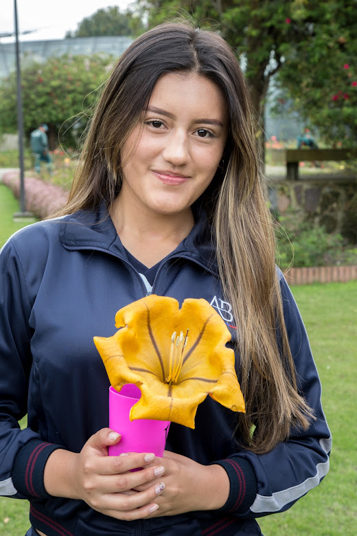 Conozca la experiencia de niñas, niños y jóvenes con las huertas escolares que construyen ciudanía ambiental
