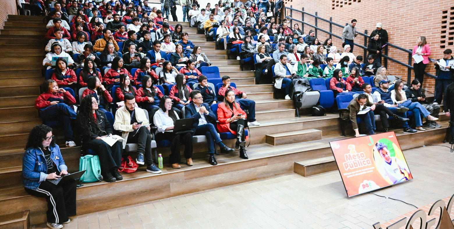 Estudiantes de colegio distrital