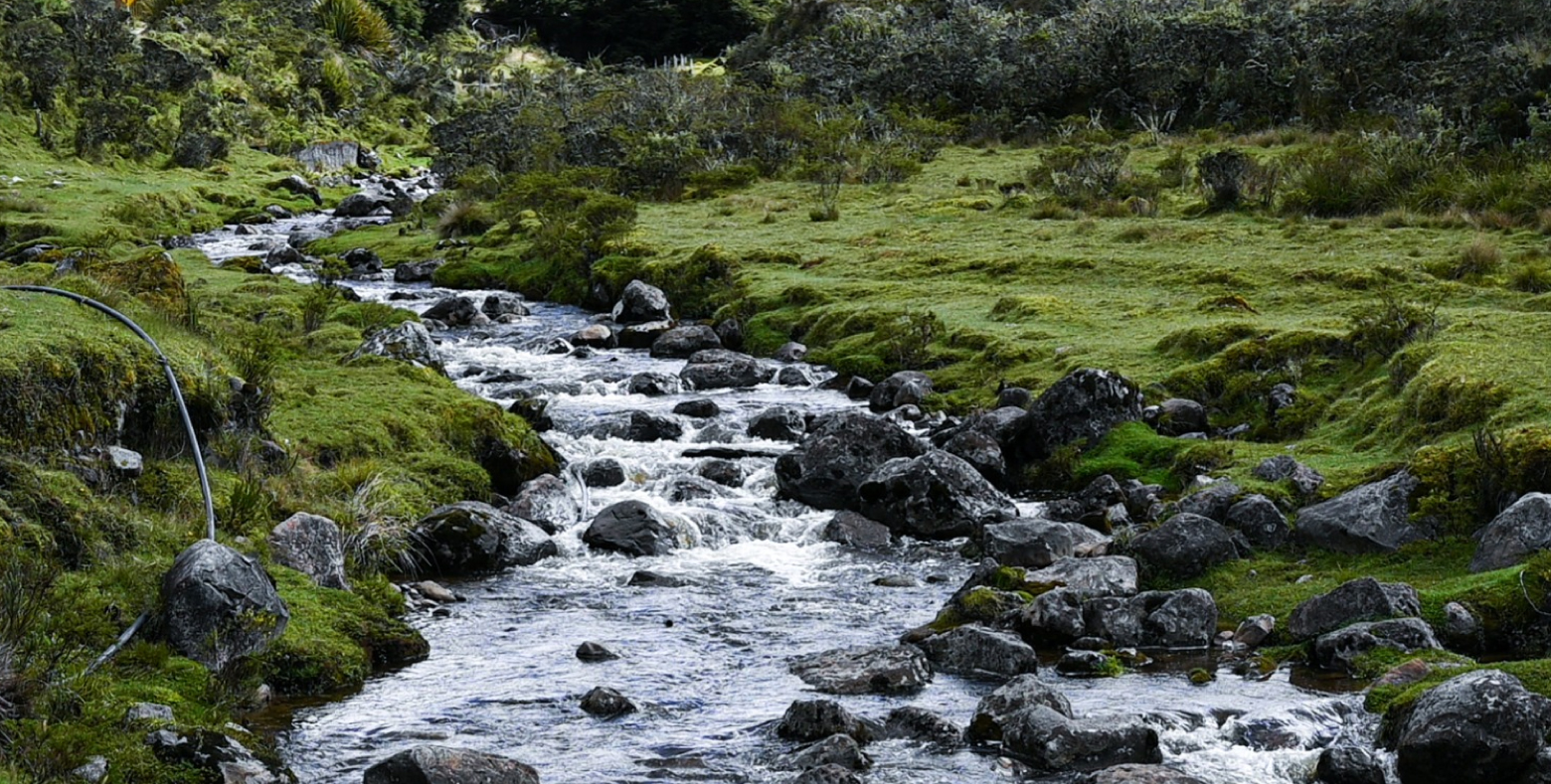 Arroyo de agua