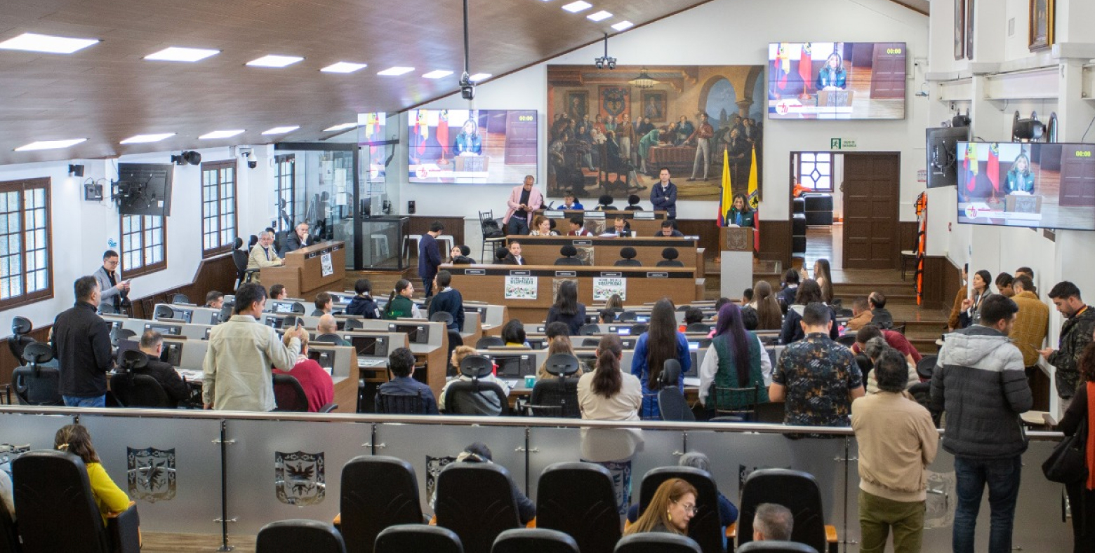 Estudiantes de colegio distrital en concejo distrital