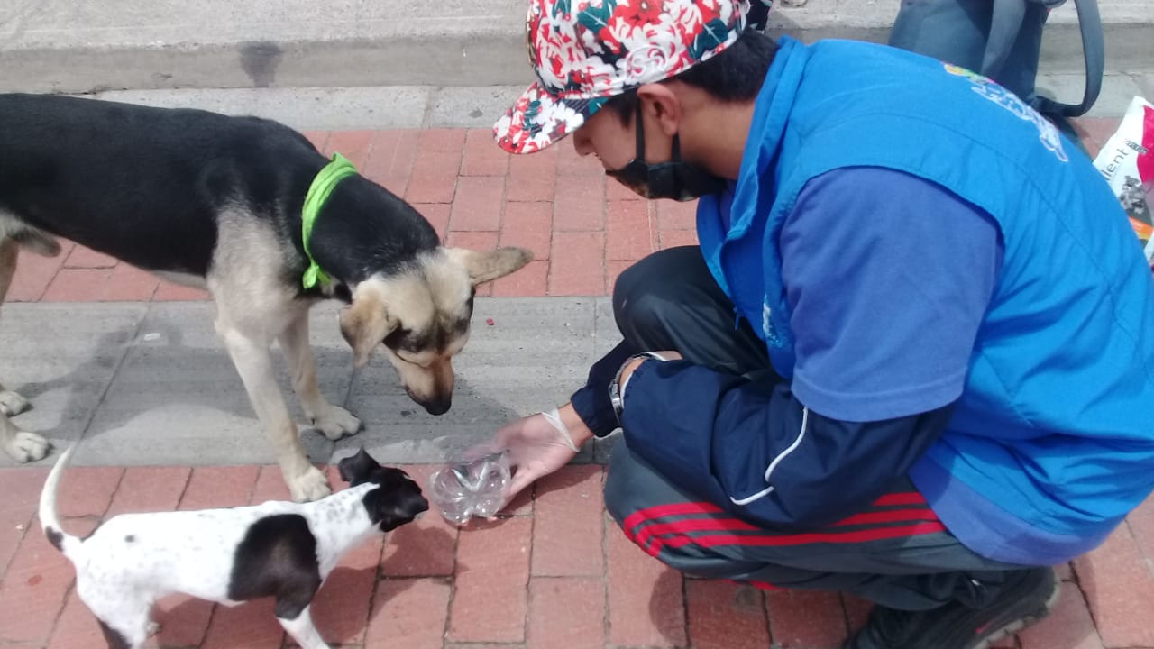 Estudiante dándole agua a unos perritos