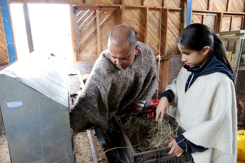 Profesora y estudiante sacando heno