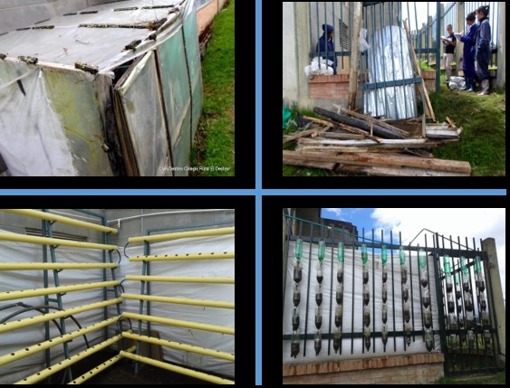 invernadero bogotano